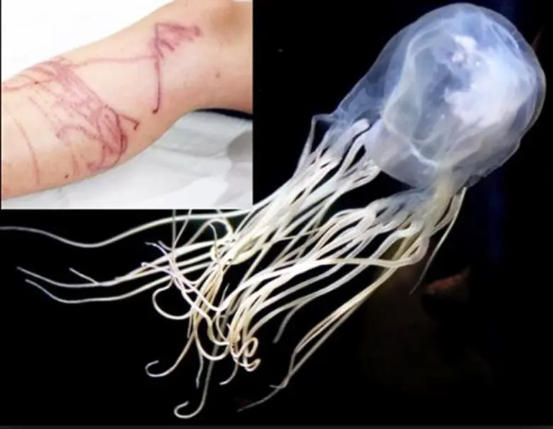 ศ.ดร.นพ.ประวิตร อัศวานนท์ ประชาสัมพันธ์สม...