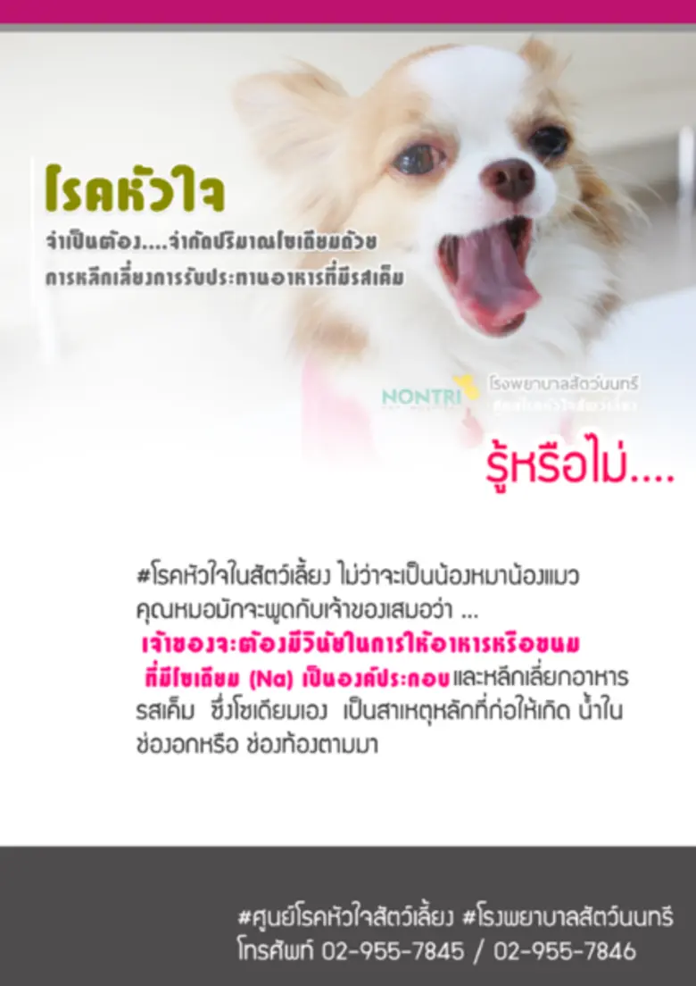 รู้หรือไม่.... #โรคหัวใจในสัตว์เลี้ยง ไม่...