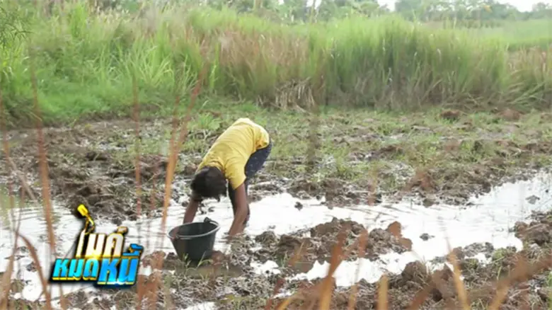 ทีวีไกด์: รายการ “ไมค์หมดหนี้” กลั้นน้ำตาไม่อยู่ น้องออด เด็กหญิงยอดนักสู้ ใช้ความสุขสู้กับความจน