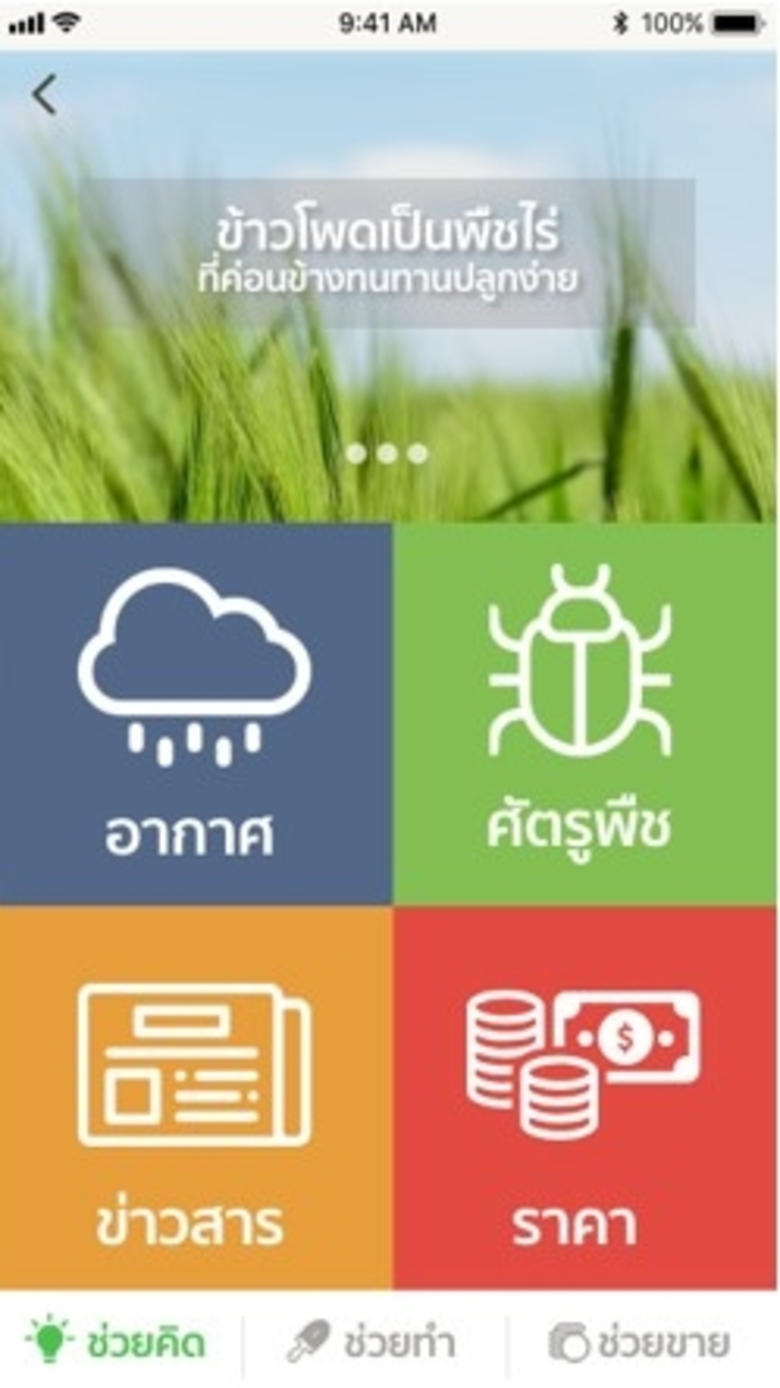 แอพฯ “ช่วยปลูก” หนุนเกษตรกร ต.บัลลังก์ ทันสมัย ปลูกข้าวโพดยั่งยืน