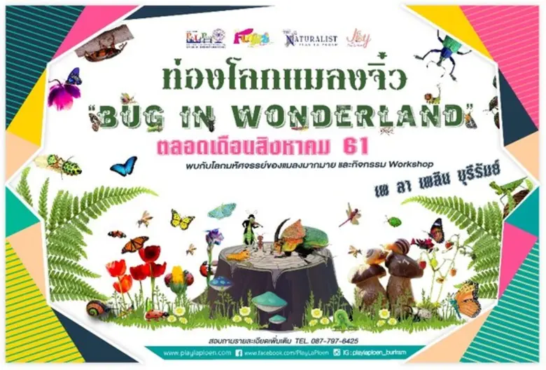 ท่องโลกแมลงจิ๋ว "Bug in Wonderland" ตลอดเ...