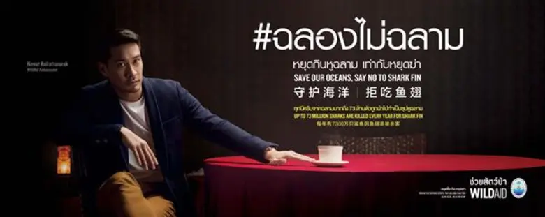 ไวล์ดเอดจับมือ ทช. รณรงค์ #ฉลองไม่ฉลาม กับป้อง ณวัฒน์ ชวนคนไทยเลิกหูฉลาม