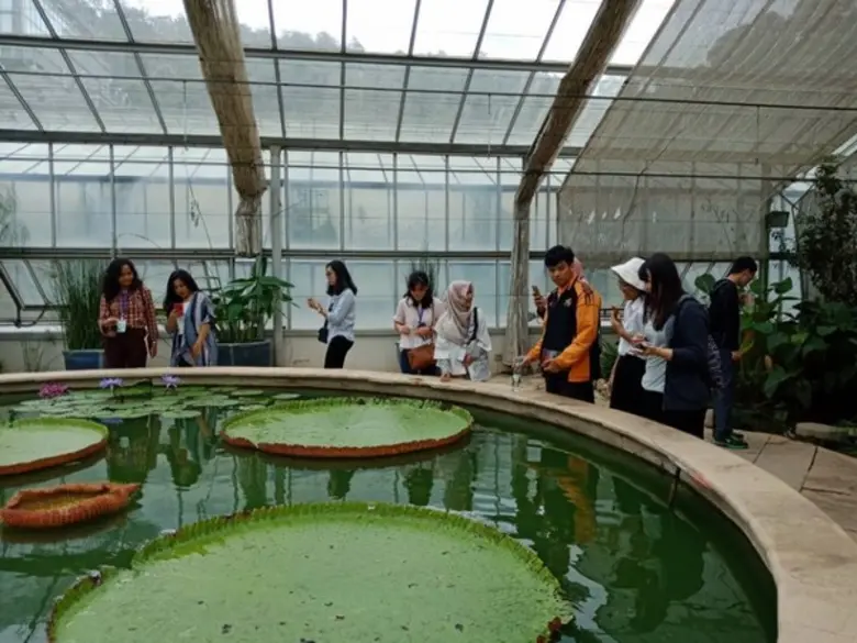 ศึกษาดูงานด้านพฤกษศาสตร์