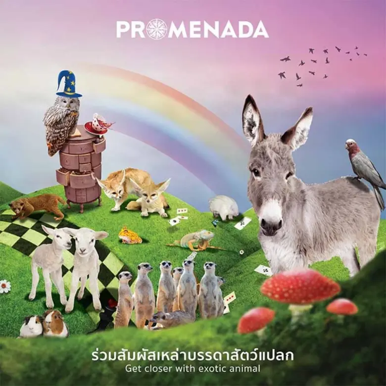 ศูนย์การค้าพรอมเมนาดา เชียงใหม่ ชวนหนูๆ ม...