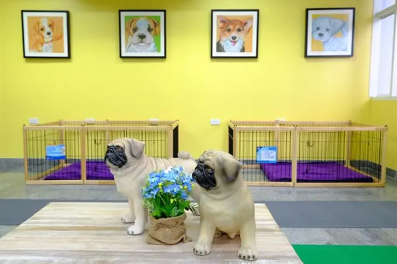 รพส.ทองหล่อ เปิดบริการ “Senior care center”  ตอบโจทย์เจ้าของสุนัขสูงวัย บริการครบวงจร ดูแลตลอด 24 ชั่วโมง