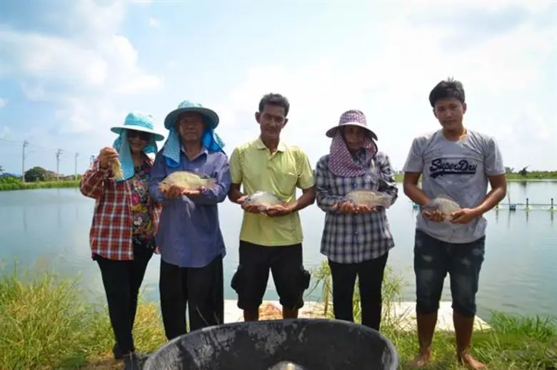 กรมประมงสนับสนุนกลุ่มวิสาหกิจชุมชนเลี้ยงปลานิลกุ้งข...