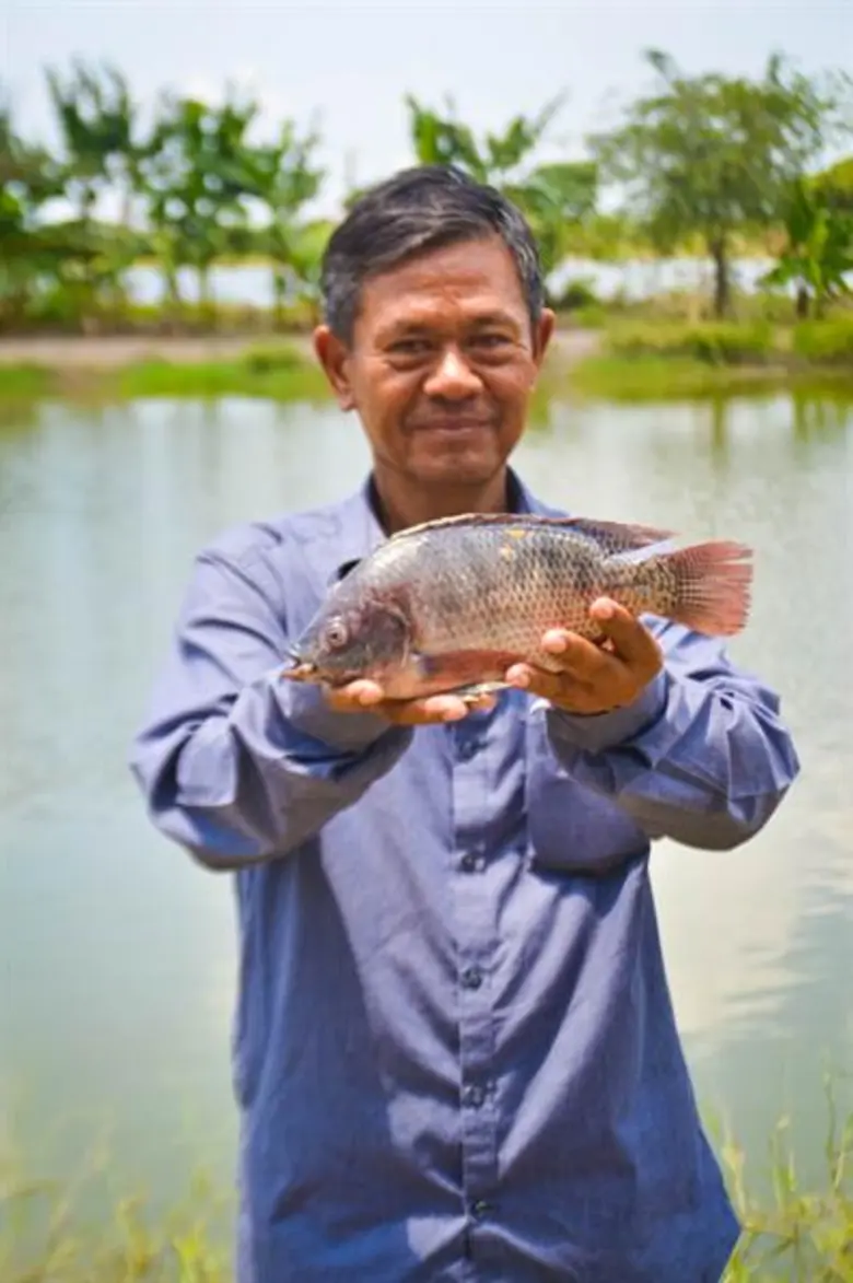 ประมงแปลงใหญ่บางเสาธง เลี้ยงปลานิลร่วมกับกุ้งขาว แบบผสมผสาน สร้างรายได้ให้กับเกษตรกรมากขึ้นด้วยผลผลิตที่หลากหลาย