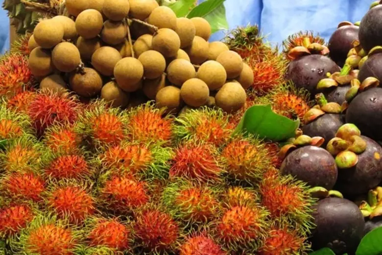 เรื่องราวที่น่ายินดี เมื่อนางจันทิรา ยิมเ...