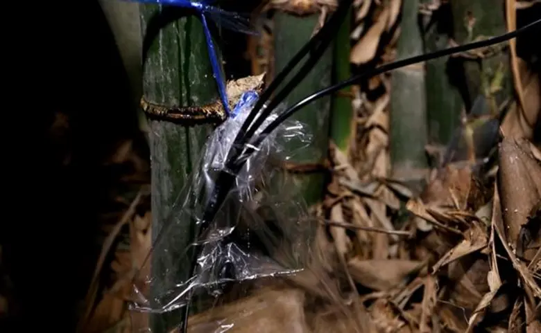 “เลโอ” พาไปพบอาชีพสุดทึ่ง “ขายน้ำไผ่” รายได้ดี!!!  ใน “ไทยทึ่ง” 29 ก.ค.นี้ 11.00 น. ช่อง GMM25