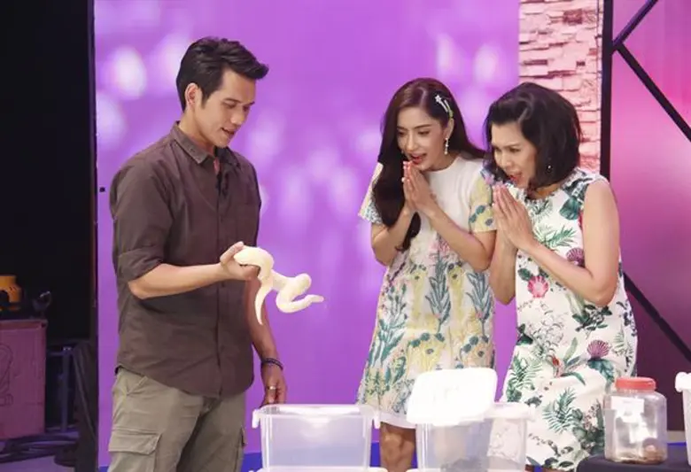 ทีวีไกด์: รายการ “หม้ายตัวแม่” “พิ้งกี้” ยิ้มร่าสั่นสู้งูพิษ!! พร้อมเปิดใจ “จ๊ะ” รีเทิร์นรักเก่า