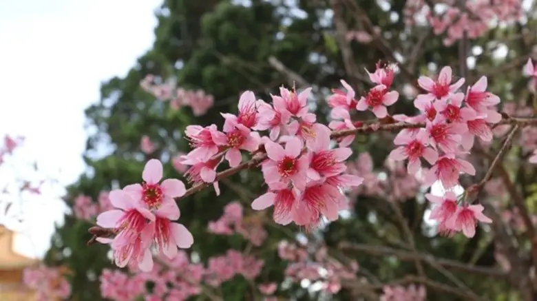 อิ๋งอิ๋งชวนดูรายการ “เปิดโลกสดใส” ออกอากาศวันศุกร์ที่ 30 กรกฎาคม 2561