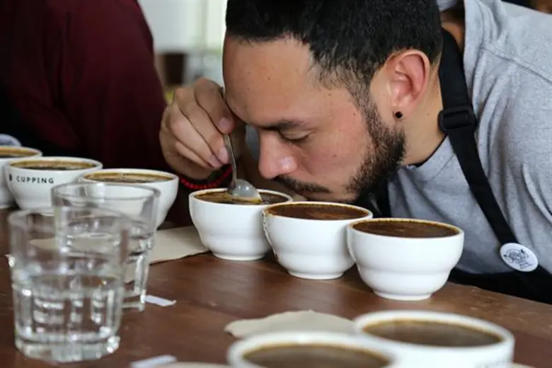 การประกวดสุดยอดเมล็ดกาแฟไทย ACID 2018 (ACID 2018 THAILAND EXCELLENT COFFEE)