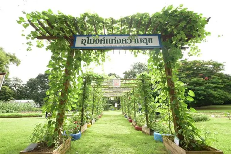 อีสท์ เวสท์ ซีด ส่งต่อความสุขสู่คนเมือง จัดงาน 'ความสุขปลูกได้’ ชวนปลูกผักทานเอง พร้อมส่งมอบ '1 ล้านเมล็ดพันธุ์ความสุข’ เพื่อคนกรุงเทพ