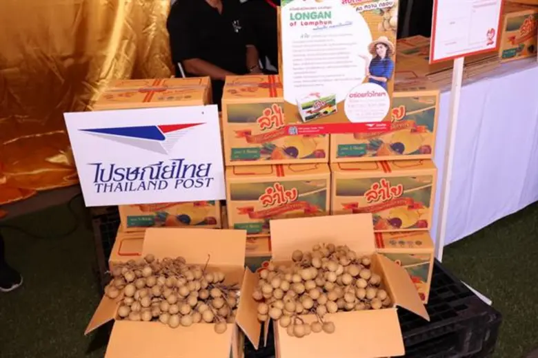 กรมส่งเสริมสหกรณ์หนุนสหกรณ์ชาวสวนผลไม้เร่งระบายผลผลิตสู่ตลาด ร่วมมือไปรษณีย์ไทย ห้างโมเดิร์นเทรด และเครือข่ายสหกรณ์ทุกจังหวัดเป็นช่องทางกระจายสินค้าถึงผู้บริโภค ตั้งเป้าปริมาณ 11,554 ตัน