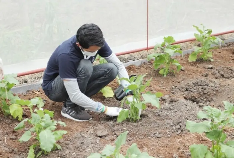 โรงแรมฮิลตัน พัทยา จัดกิจกรรม Global Week of Service สร้างแปลงผักกางมุ้งเพื่อน้อง