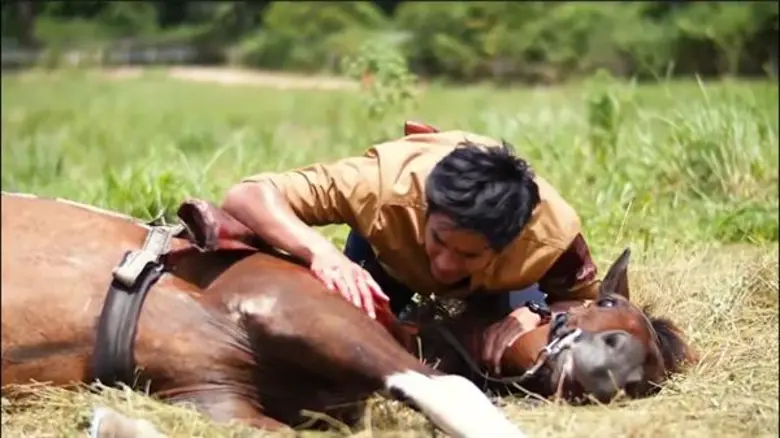 ธันน์ ธนากร ชวนดูฉากหินในตำนาน คน+ม้า ในละคร "เชิงชายชาญ"