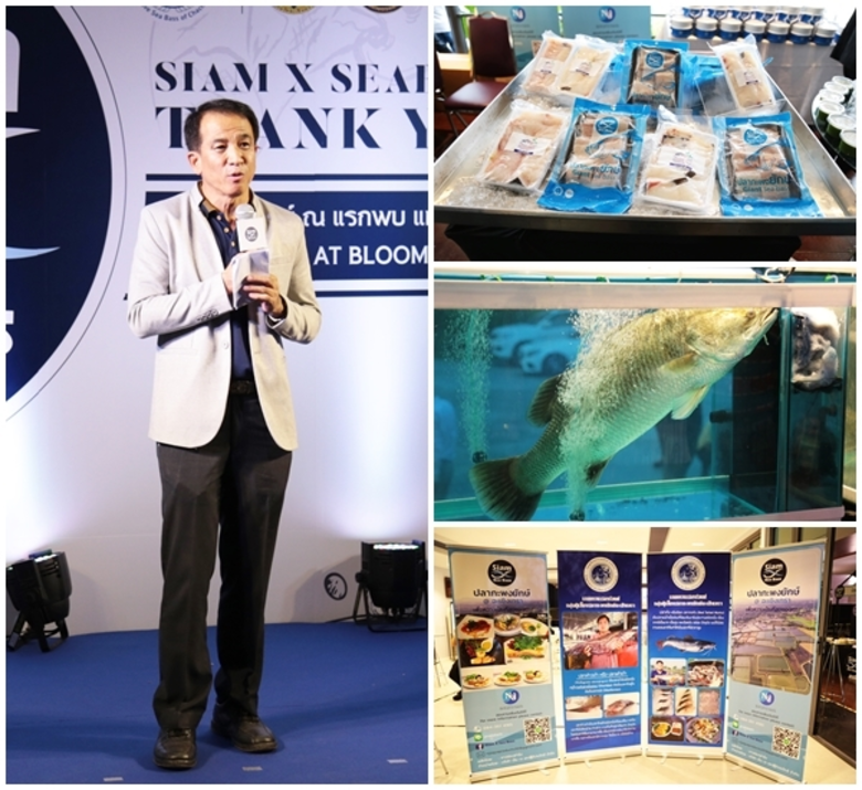 เปิดตัวปลากะพงยักษ์ Siam X Sea Bass ในไทยแห่งแรก
