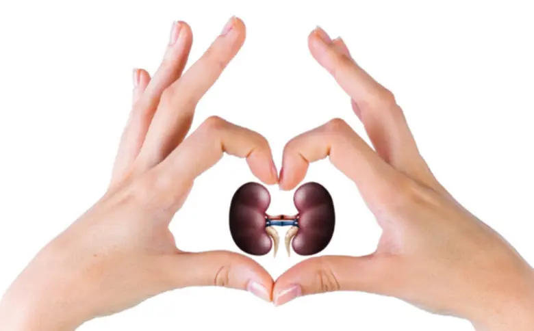 ปัจจุบันคนไทยป่วยด้วยโรคไตเรื้อรังประมาณ ...