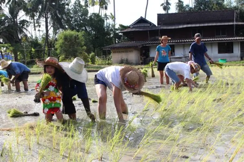 สามพราน ริเวอร์ไซด์ จัดโปรพิเศษต้อนรับวันแม่ ชวน คู่แม่ -ลูก ตะลุย ปฐม ออร์แกนิก ฟาร์ม สัมผัสวิถีชาวนาอินทรีย์