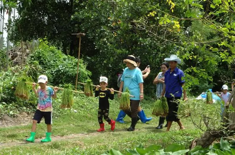 สามพราน ริเวอร์ไซด์ จัดโปรพิเศษต้อนรับวันแม่ ชวน คู่แม่ -ลูก ตะลุย ปฐม ออร์แกนิก ฟาร์ม สัมผัสวิถีชาวนาอินทรีย์