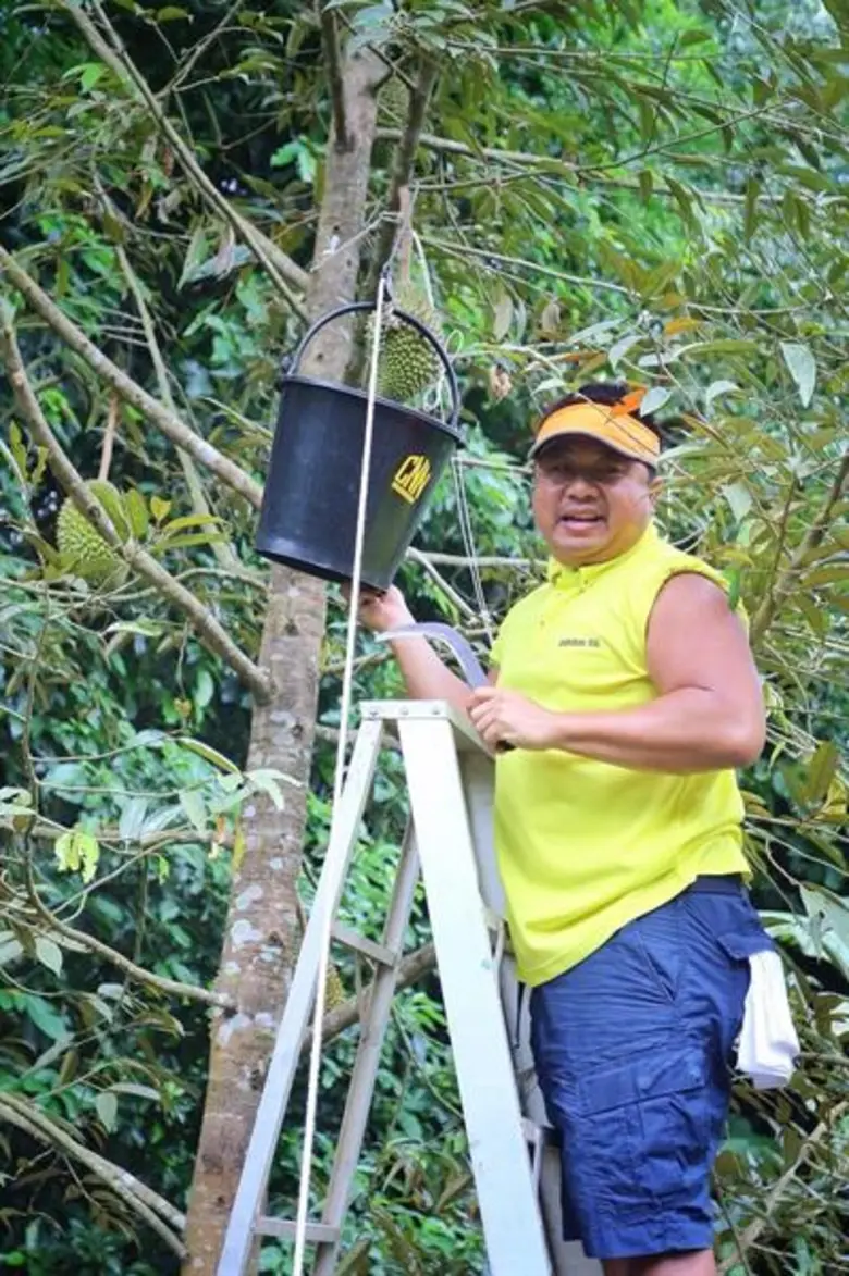 ทีวีไกด์: รายการ “แหม่มบ๊อบ LET’S GO” ชวนชิม ทุเรียน ออแกนิค ป่าละอู ที่ หัวหิน