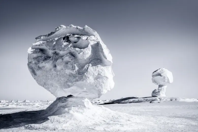 สมาคมถ่ายภาพแห่งประเทศไทยฯ ได้นำ Tom Jacobi ช่างภาพมือรางวัลระดับโลกจากเยอรมนี มาพูดสร้างแรงบันดาลใจและปลุกจิตสำนึกในการดูแลโลก