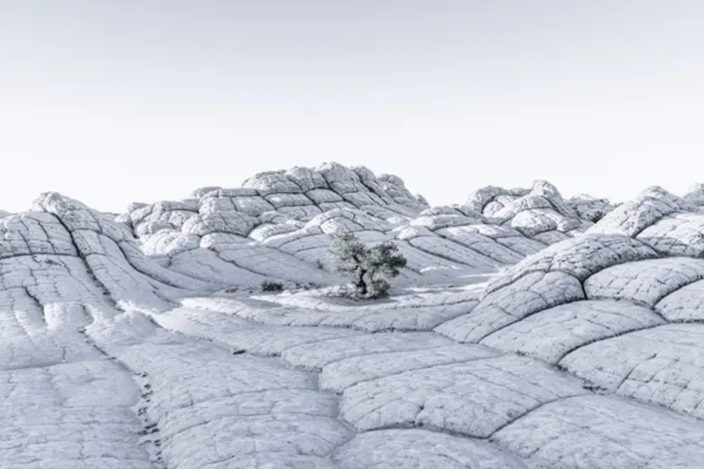 สมาคมถ่ายภาพแห่งประเทศไทยฯ ได้นำ Tom Jacobi ช่างภาพมือรางวัลระดับโลกจากเยอรมนี มาพูดสร้างแรงบันดาลใจและปลุกจิตสำนึกในการดูแลโลก