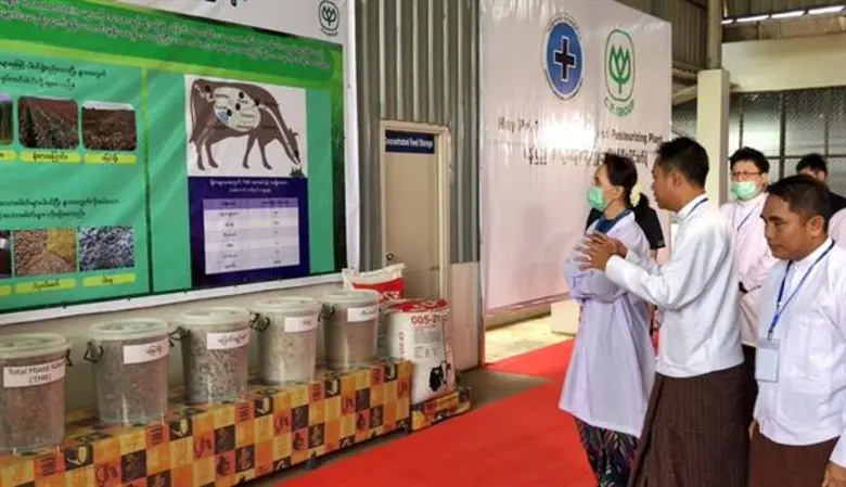 สตีเบล เอลทรอน เปิดประสบการณ์สุดเอ็กซ์คลูซีฟติดขอบสนาม ชมบอลคู่เดือดในวีไอพีบ็อกซ์สตีเบล เอลทรอน ณ ลีโอ สเตเดียม