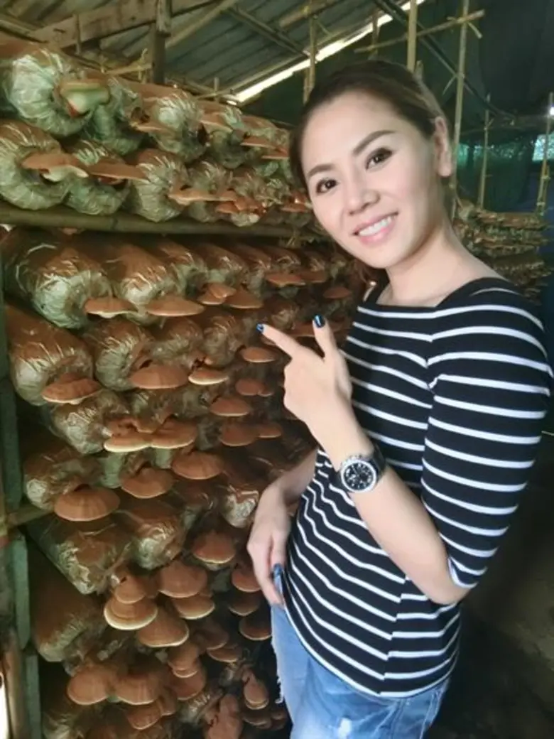 "AU Farm รังสรรเห็ดหลินจือแดง สายพันธุ์จิตรลดา เพิ่มมูลค่ามาตรฐานออแกนิค ส่งต่อสรรพคุณทางยาชั้นยอด"