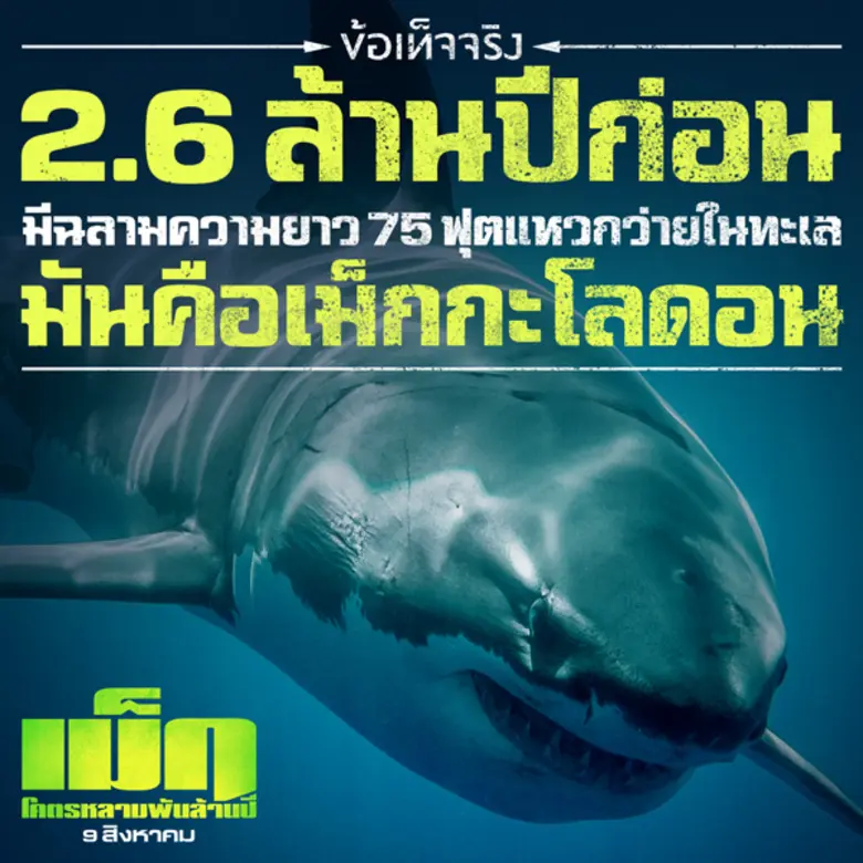 ฉลามเม็ก – เรื่องจริงและเรื่องแต่ง - เม็ก...