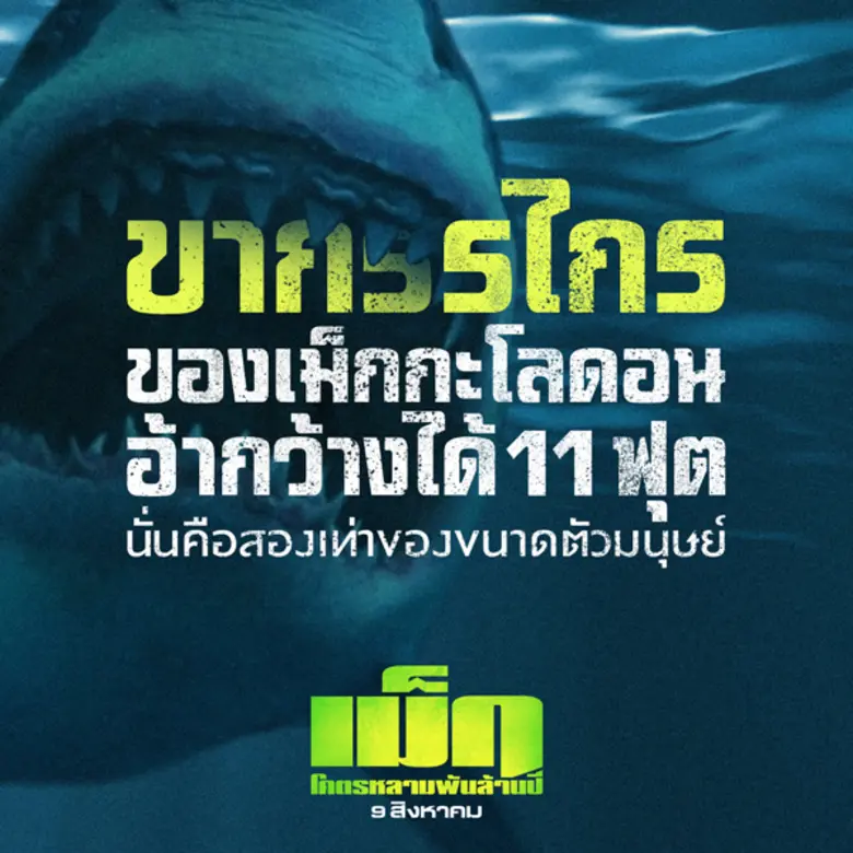 เรื่องน่ารู้ก่อนดู The Meg – โคตรหลามพันล้านปี 9 สิงหาคมในโรงภาพยนตร์