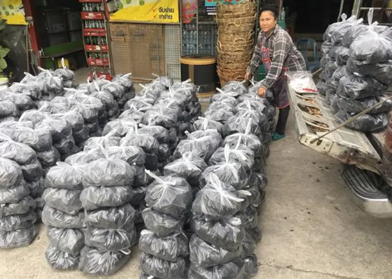 บอย-ฮาร็อค บอกไม่อาย ช่วยแม่ขายถ่าน วันว่างจากคอนเสิร์ต