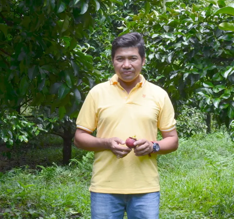 มังคุดเป็นพืชเศรษฐกิจหลักที่สำคัญ อีกชนิด...