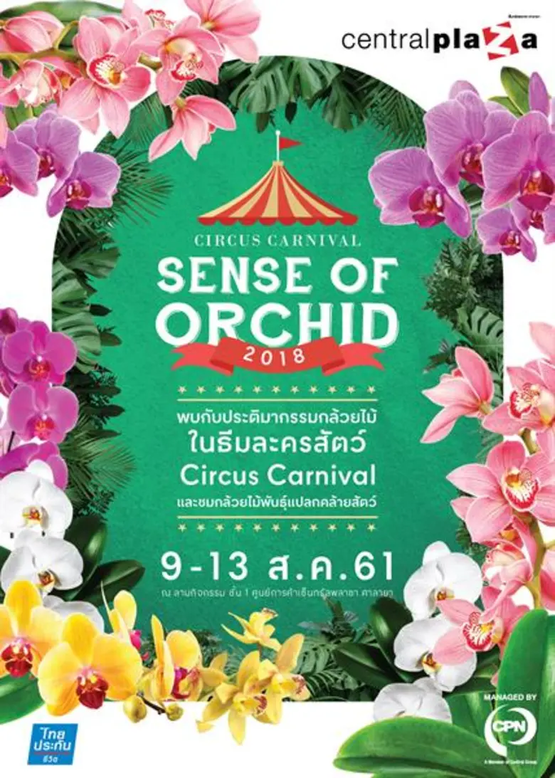 ศูนย์การค้าเซ็นทรัลพลาซา ศาลายา ร่วมกับ บ...