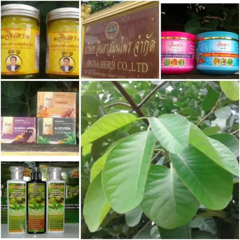 จินดาสมุนไพร ชูมาตรฐานสินค้าสมุนไพรปลอดภัย