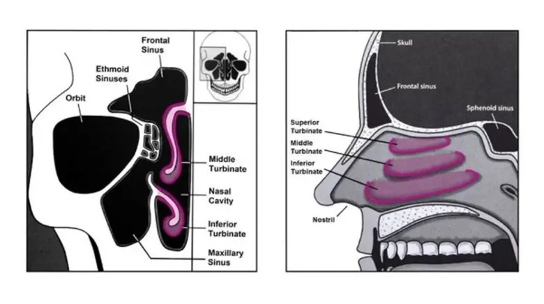 โรคภูมิแพ้ เป็นโรคที่พบมากในสังคมไทย ซึ่ง...