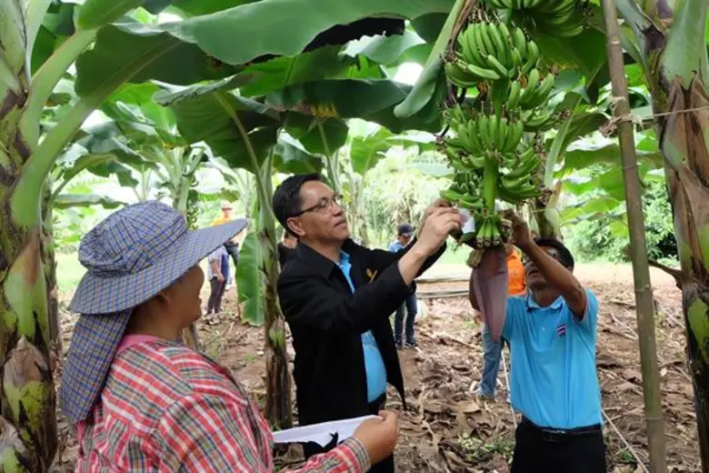 ผู้ตรวจราชการกรม และคณะลงพื้นที่ตรวจราชการรอบที่ 2 และตรวจติดตามการดำเนินงานโครงการไทยนิยม ยั่งยืน ณ ส.ป.ก.บุรีรัมย์