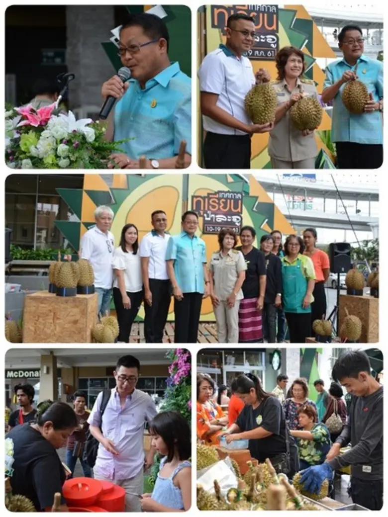 ภาพกิจกรรมพิธิเปิดงาน เทศกาลทุเรียนป่าละอ...