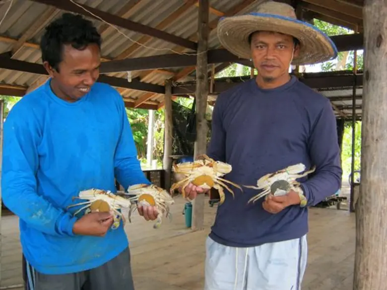 โดย การนำผลงานวิจัยไปใช้ประโยชน์และสื่อสา...