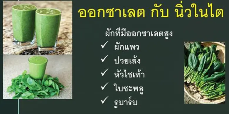 แพทย์ไทยรวมพลังแนะนำเรื่องสมุนไพร อันตรายสำหรับผู้ป่วยโรคไต