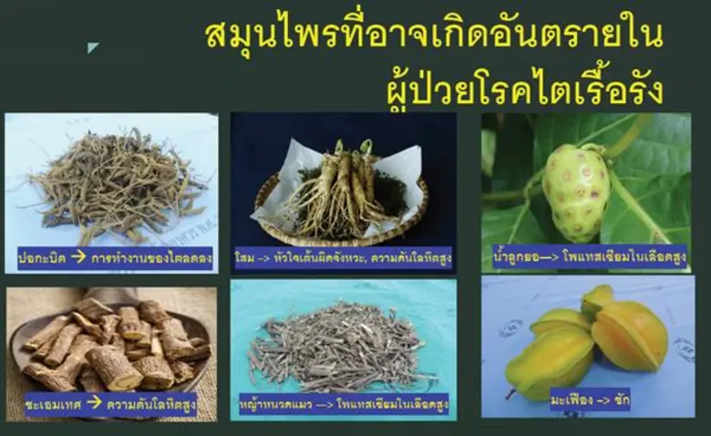 แพทย์ไทยรวมพลังแนะนำเรื่องสมุนไพร อันตรายสำหรับผู้ป่วยโรคไต