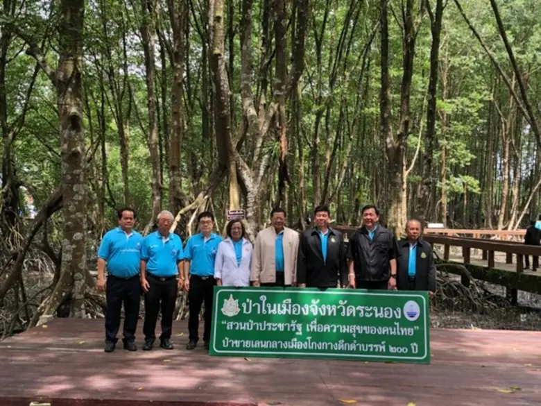 "ป่าชายเลนกลางเมือง โกงกางดึกดำบรรพ์ 200 ...