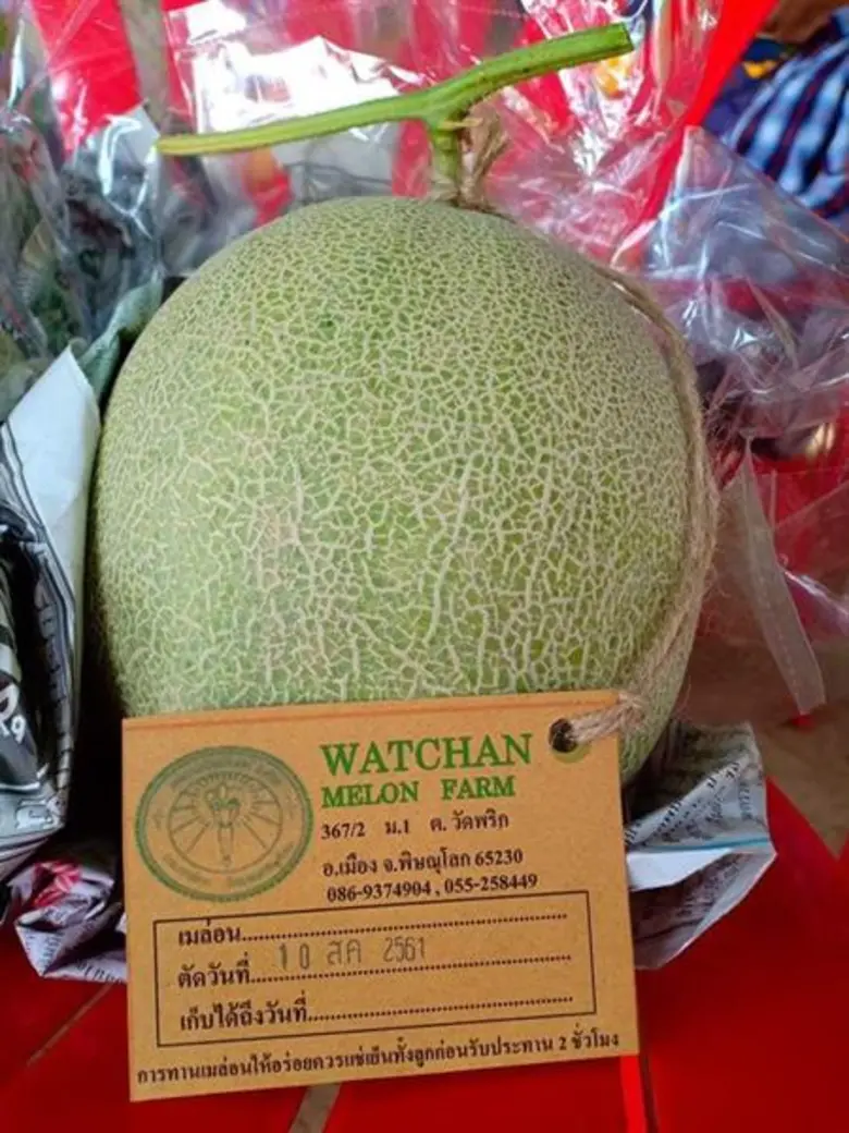 สหกรณ์วัดจันทร์ จำกัด เมินราคาผักตกต่ำ หันส่งเสริมส...