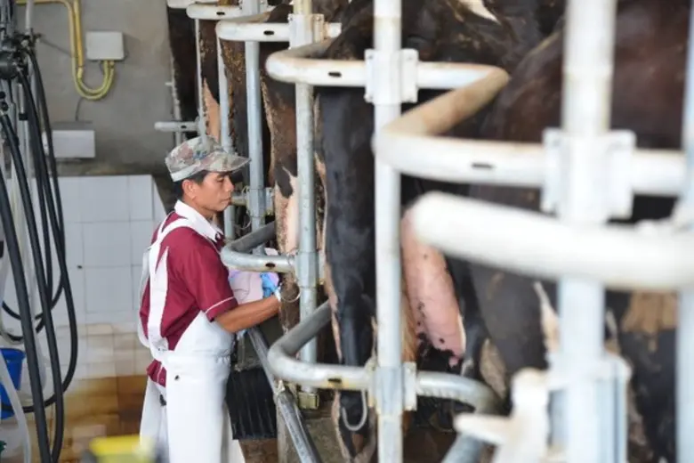 ร่วมเดินทางไปกับโครงการ #ไมซ์เพื่อชุมชน นำร่องที่สหกรณ์โคนมมวกเหล็ก สระบุรี