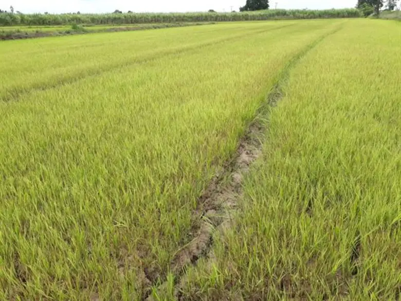 ฝนหลวงฯ ประสาน 2 หน่วยปฏิบัติการช่วยเหลือพื้นที่การเกษตรเขตอำเภอเนินขาม จังหวัดชัยนาท
