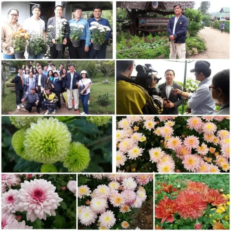 สถาบันวิจัยวิทยาศาสตร์และเทคโนโลยีแห่งประ...