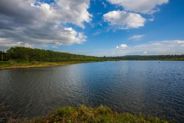 “แหล่งท่องเที่ยวตามรอยศาสตร์พระราชา สู่การเชื่อมโยงแอ่งท่องเที่ยว”อ่างเก็บน้ำต้นลำปะเทีย แหล่งน้ำแห่งชีวิตพลิกดินแห้งสู่ผืนป่า