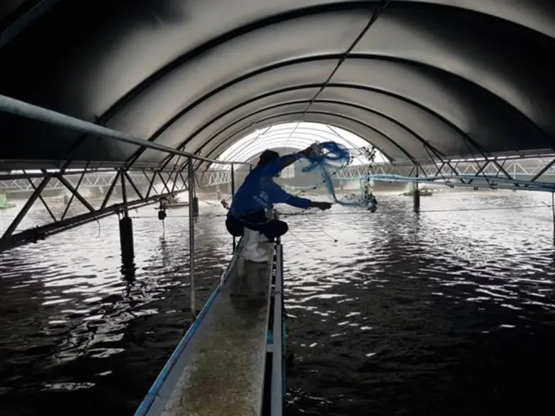 บริษัท เจริญโภคภัณฑ์อาหาร จำกัด (มหาชน) ห...