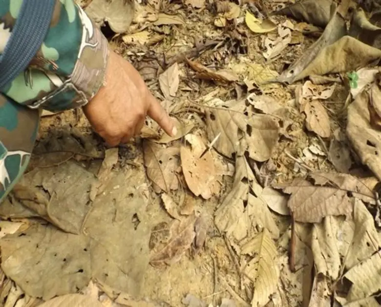 เป็นข้อถกเถียงกันเสมอมาเมื่อจะมีการสร้างอ...