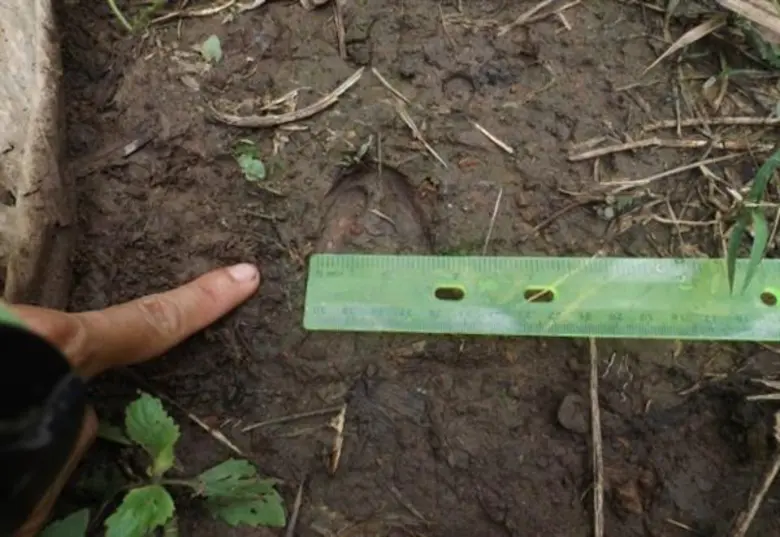 สัตว์ป่าอยู่ได้ คนอยู่ด้วย